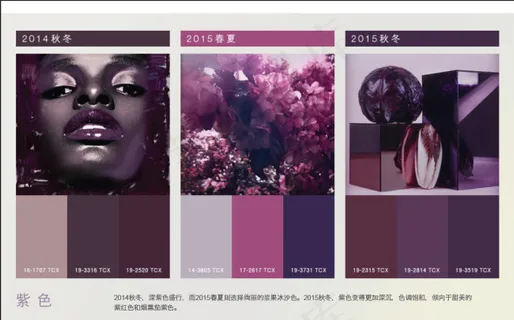 2015秋冬色彩演变 PDF