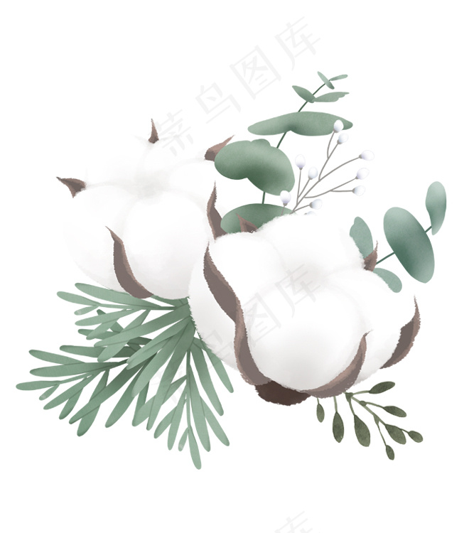 棉花插画图片psd模版下载