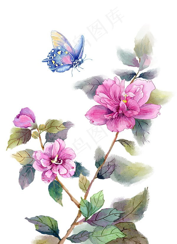 鲜花蝴蝶插画