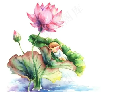 卡通小女孩 荷花 荷叶图片