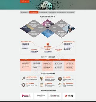 网络公司网站解决方案图片