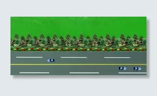 道路绿化设计