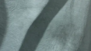 缓慢的风的白旗股票视频 视频免费下...