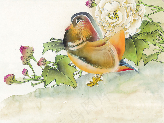 牡丹 鸳鸯