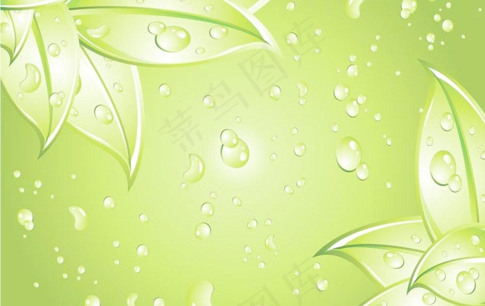 清新绿叶背景图片