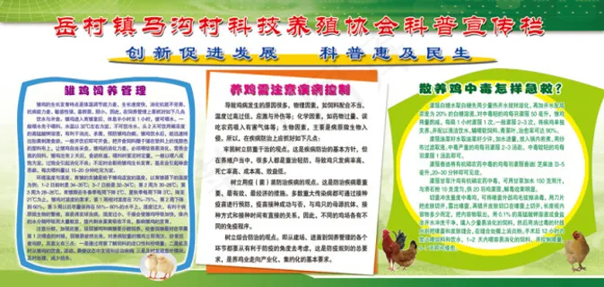 养鸡常识科普知识