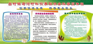 养鸡常识科普知识