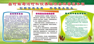 养鸡常识科普知识