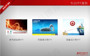 专业案列课件PPT模板免费下载预览图