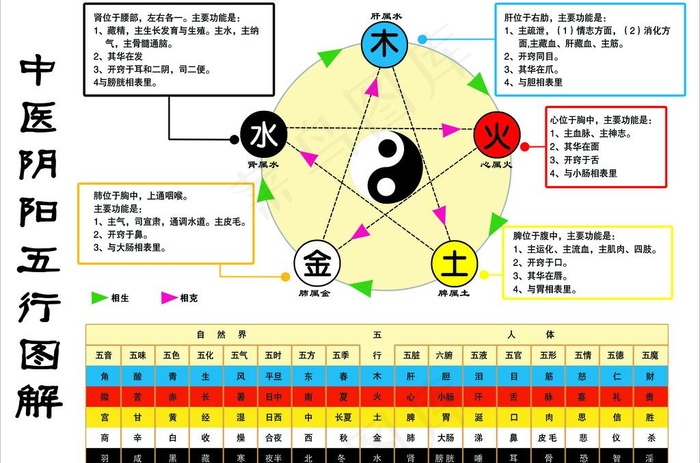 中医阴阳五行图图片