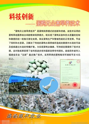 畜牧旱鸭技术展板下载