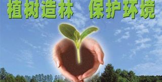 植树节公益广告PSD模板
