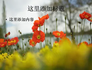 2012年MSN官方最美景致风景...