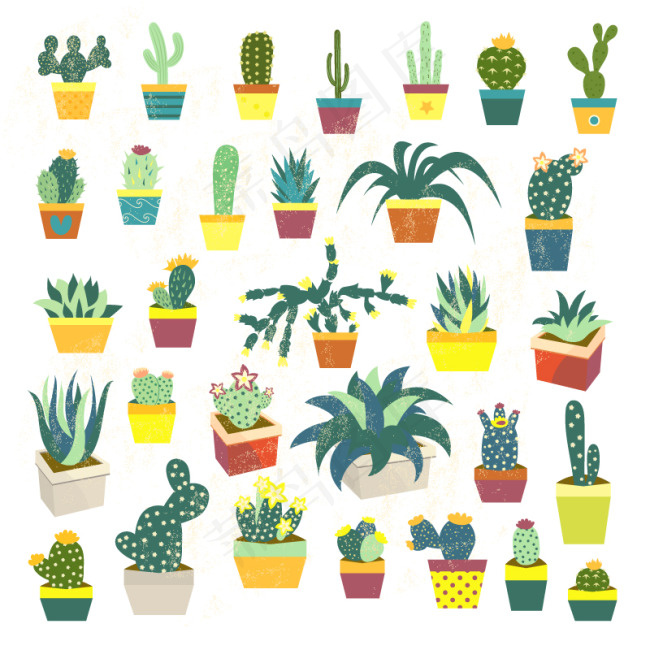 盆栽仙人掌设计