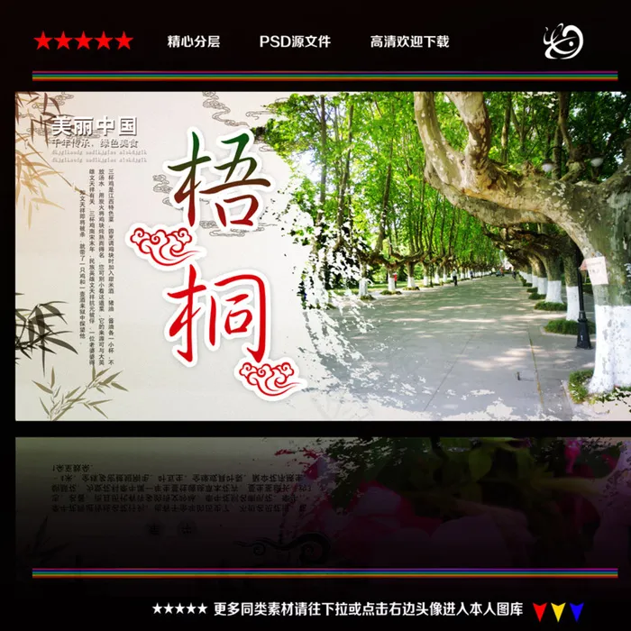梧桐图片(4724X4724(DPI:300))psd模版下载