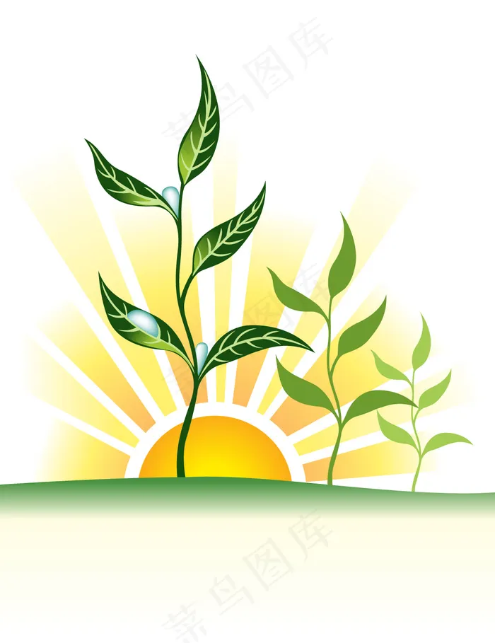 日落植物液汁ai矢量模版下载