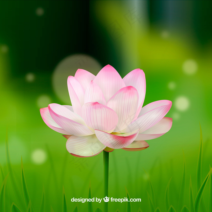 绿色背景矢量图