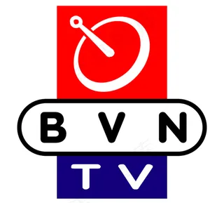 BVN_TV logo设计欣赏 B...