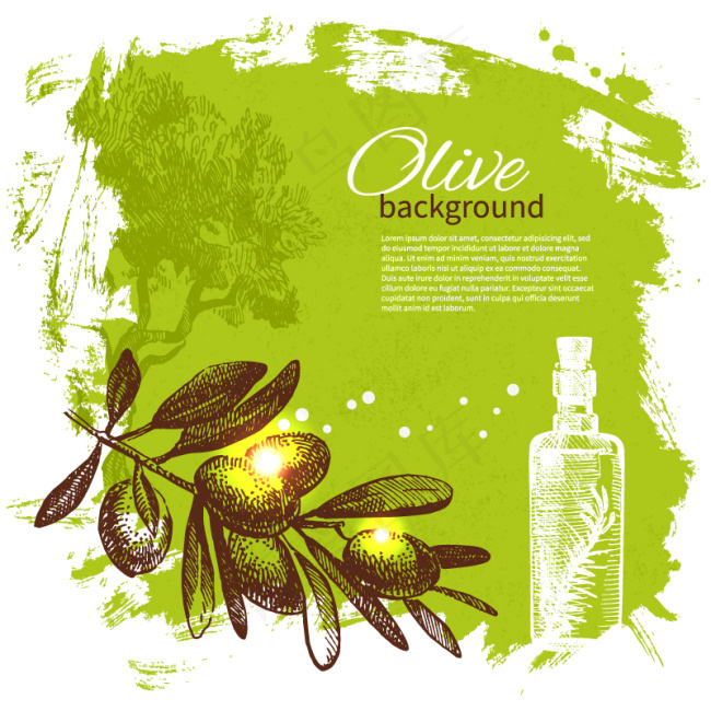 清新橄榄枝背景矢量素材