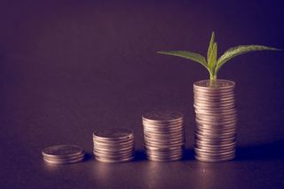 金币嫩芽小树苗孵化培育理财商务金融财富主题素材