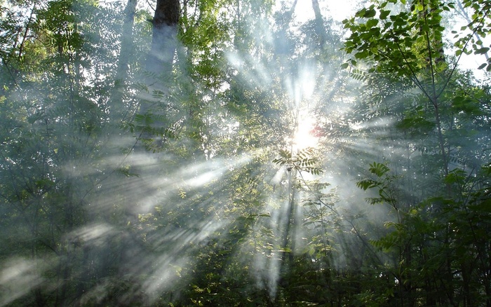 高清电脑桌面背景壁纸