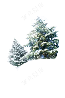 节日  雪  圣诞树
