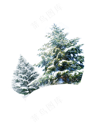 节日  雪  圣诞树