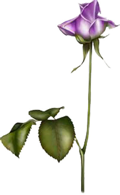 紫色花朵psd模版下载