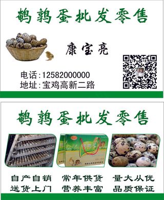 鹌鹑蛋名片批发零售