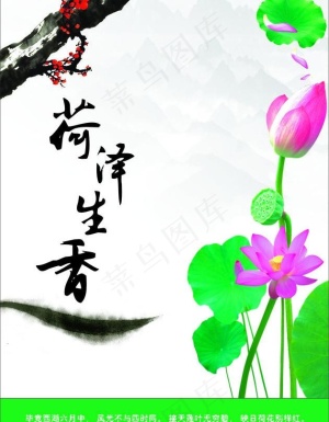 荷泽生香图片