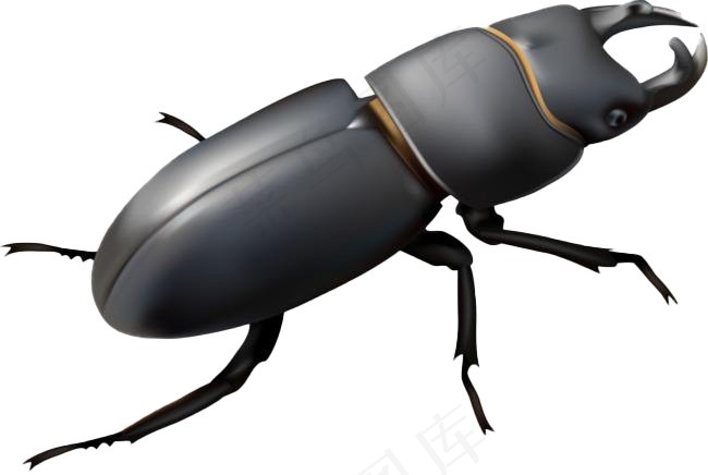 手绘卡通屎壳郎免抠素材PSD分层