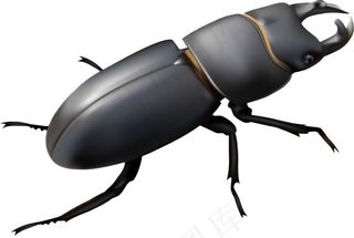 手绘卡通屎壳郎免抠素材PSD分层