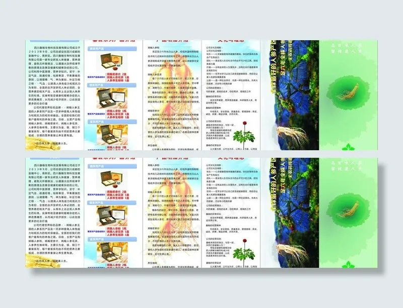 人参折页设计图片cdr矢量模版下载