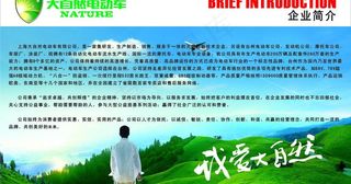 大自然电动车简介图片