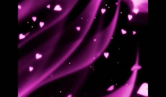 婚礼视频素材图片