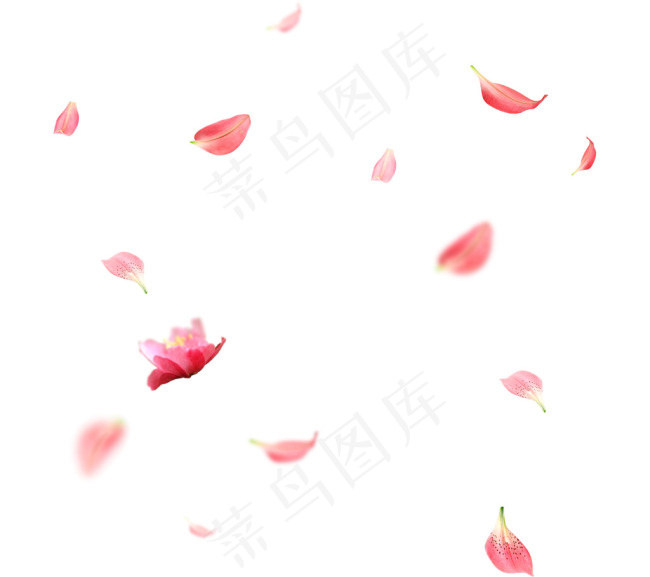 花瓣漂浮元素