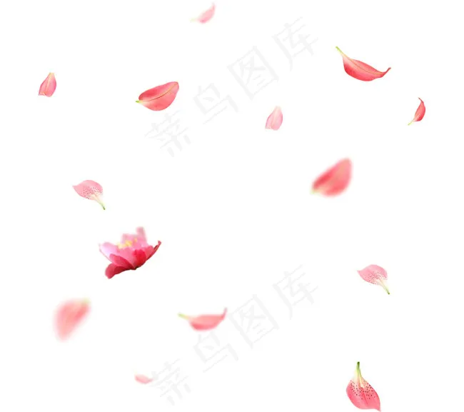 花瓣漂浮元素psd模版下载