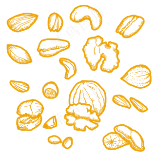 手绘坚果手绘坚果