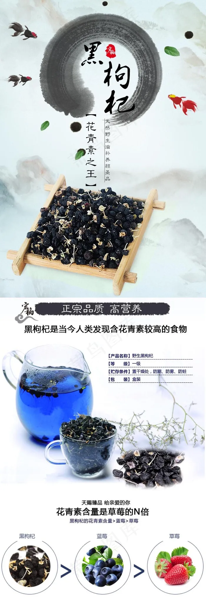 黑枸杞psd模版下载