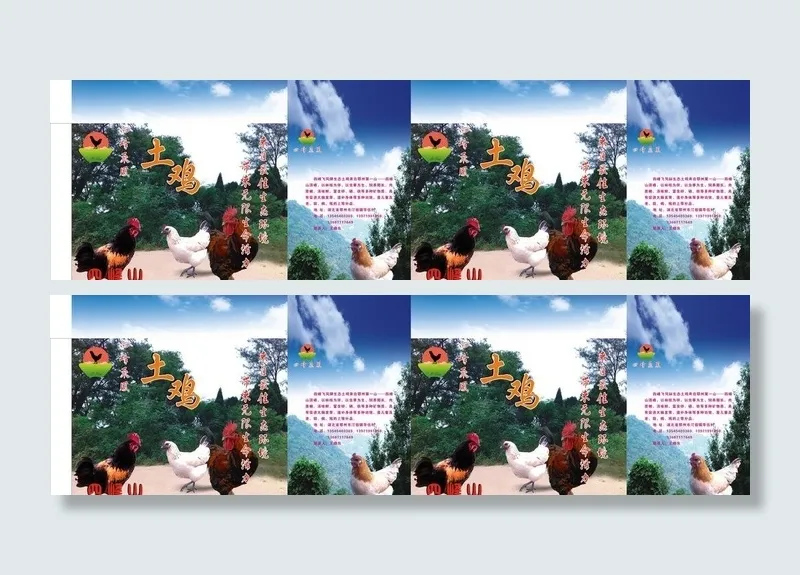 鸡蛋盒包装设计图片(1000X400)cdr矢量模版下载