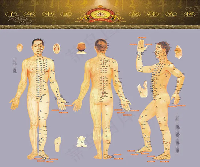 中医文化男性人体穴位图解大全高清(9449X7874(DPI:200))psd模版下载