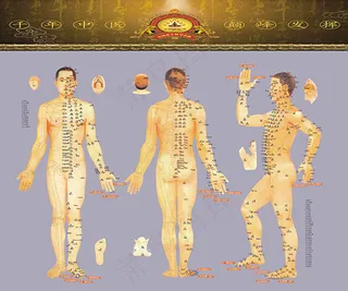 中医文化男性人体穴位图解大全高清