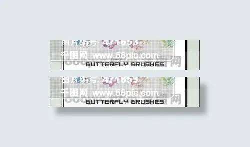 精美蝴蝶ps笔刷