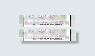 精美蝴蝶ps笔刷