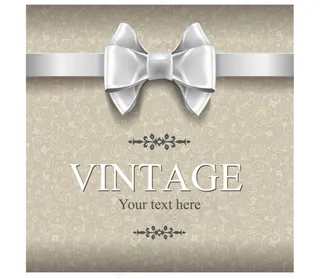 白色丝绸蝴蝶结