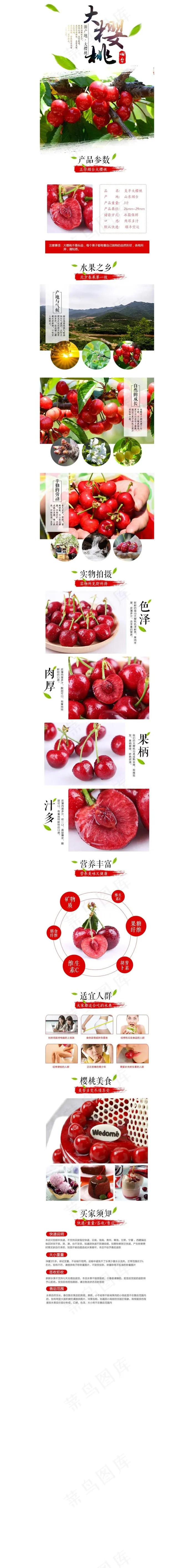 樱桃详情(750X8634(DPI:72))psd模版下载