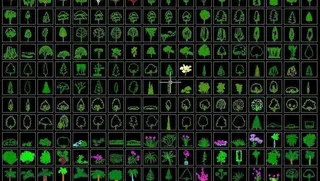 cad植物立面图例