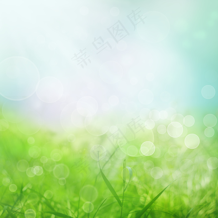 春天绿色清新背景图片