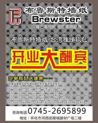 布鲁斯特墙纸电梯广告图片