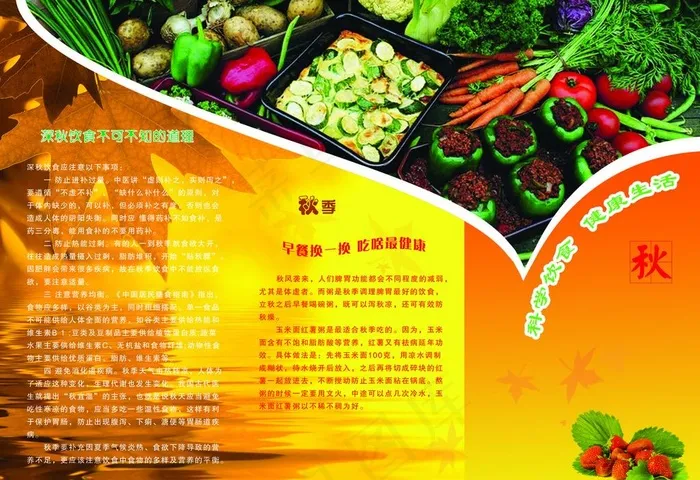 科学饮食三折页封面图片(3437X2551(DPI:300))psd模版下载